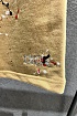Бежевые мужские шорты Dior embroidered logo Paint Splatter