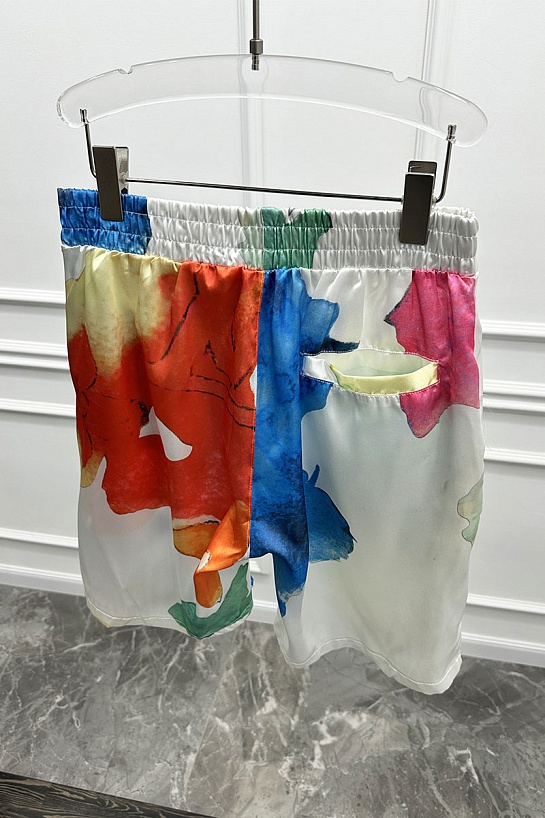 Мужские шорты Louis Vuitton Multicolor Monogram
