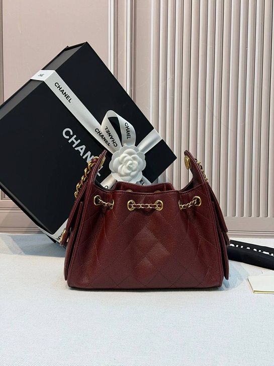 Кожаная сумка Chanel 25 Mini premium 20x22x12.5 см
