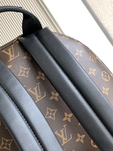 Кожаный рюкзак Louis Vuitton Palm Springs Premium 28x29x20 см   
