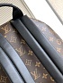 Кожаный рюкзак Louis Vuitton Palm Springs Premium 38x29x20 см