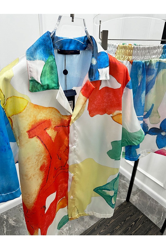 Мужские шорты Louis Vuitton Multicolor Monogram