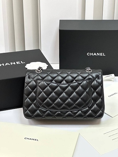 Женская кожаная сумка Chanel Timeless Premium  23x14.5x6 см   