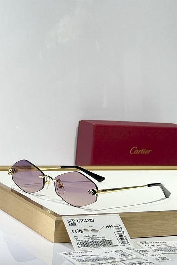 Солнцезащитные очки Cartier Eyewear   