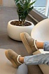 Женские зимние слиперы с мехом UGG Tasman