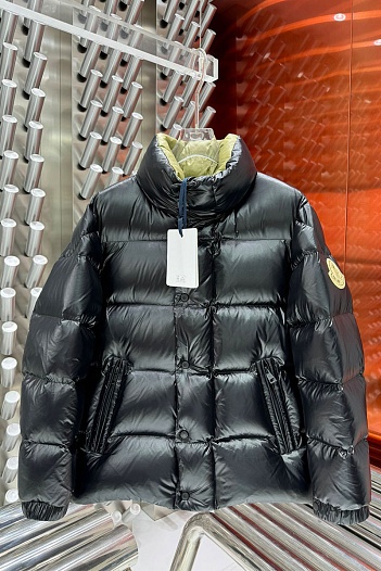 Мужской пуховик Moncler Genius   