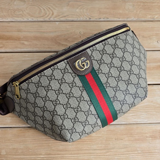Сумка на пояс Gucci GG Ophidia 30x17 см   