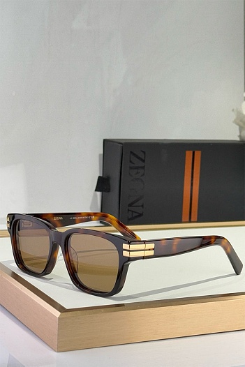 Солнцезащитные очки Zegna Acetate   