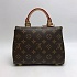 Кожаная сумка Louis Vuitton Cluny Mini Monogram 20x15x5 см