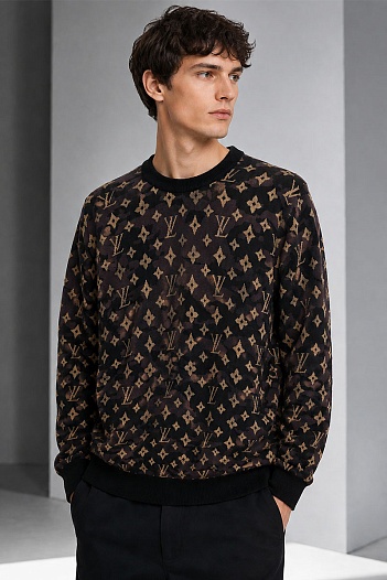 Мужская кофта коричневого цвета Louis Vuitton monogram all-over   