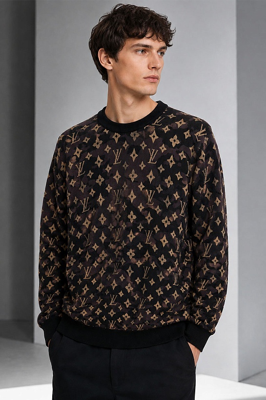 Мужская кофта коричневого цвета Louis Vuitton monogram all-over