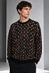 Мужская кофта коричневого цвета Louis Vuitton monogram all-over