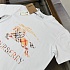 Мужская белая футболка Burberry premium