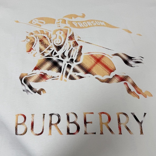 Мужская белая футболка Burberry premium   